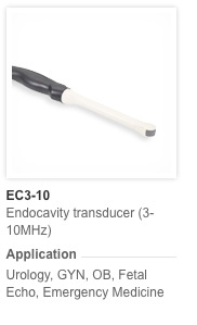 Endocavitaire EC3-10